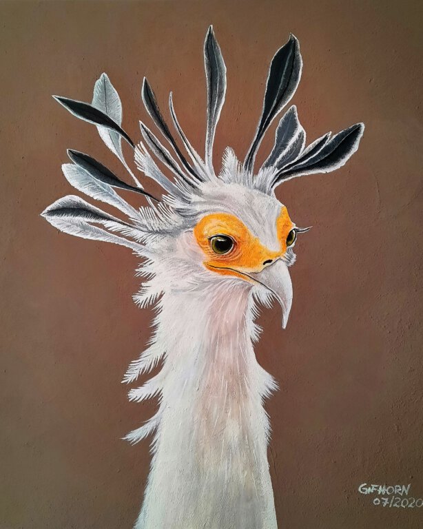 Secretary Bird / 85x75cm / Acrylic on canvas /2020